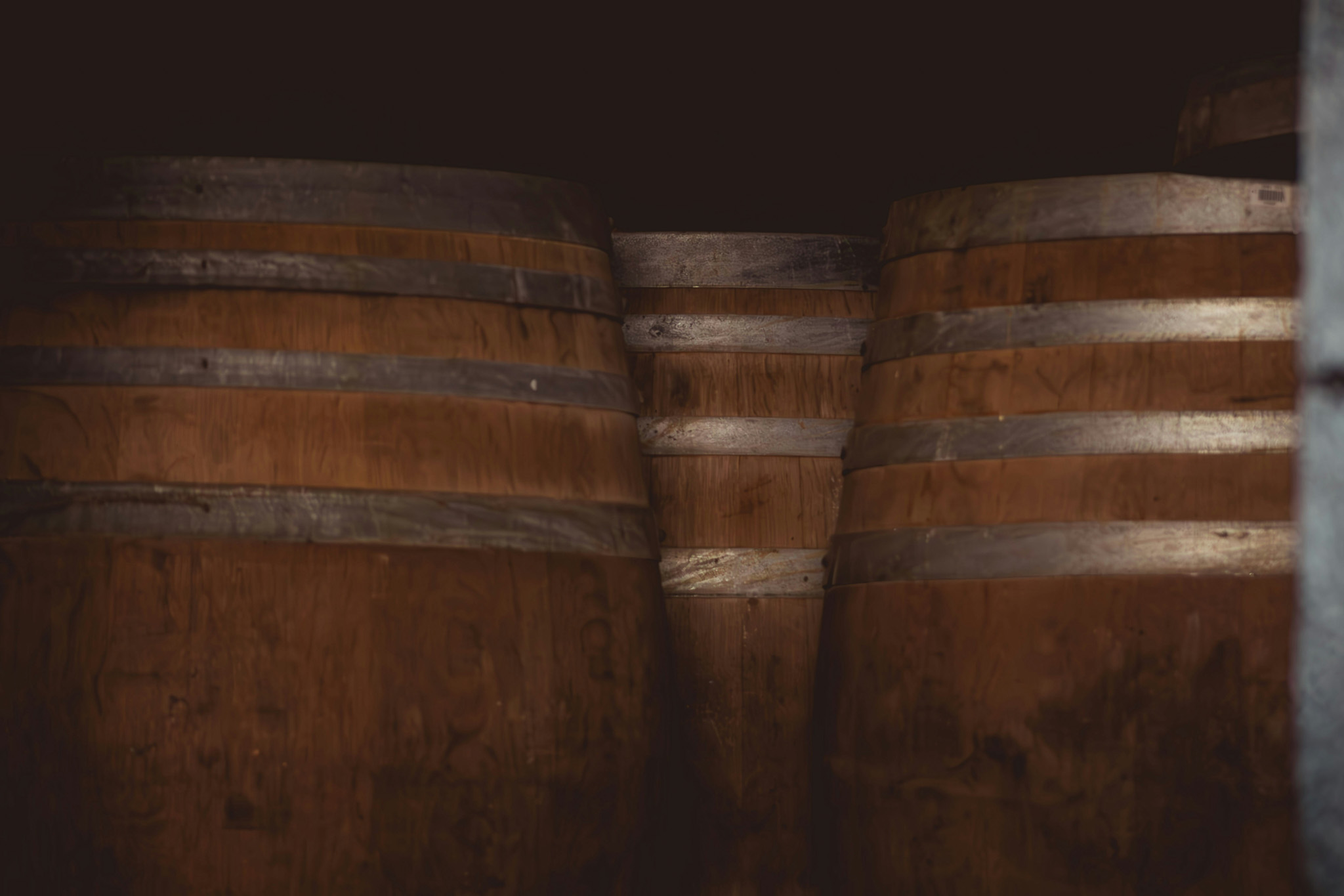 Crvena istarska zemlja i vinogradi