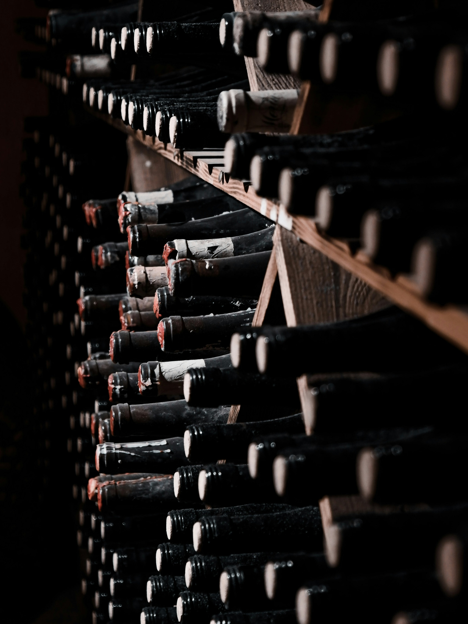 Metoda rada u vinogradu i podrumu