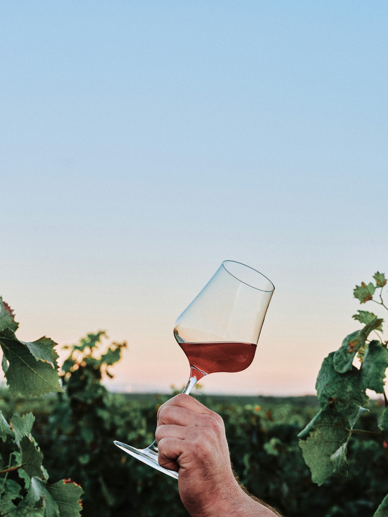 Kameni podrum vinarije Ferenac