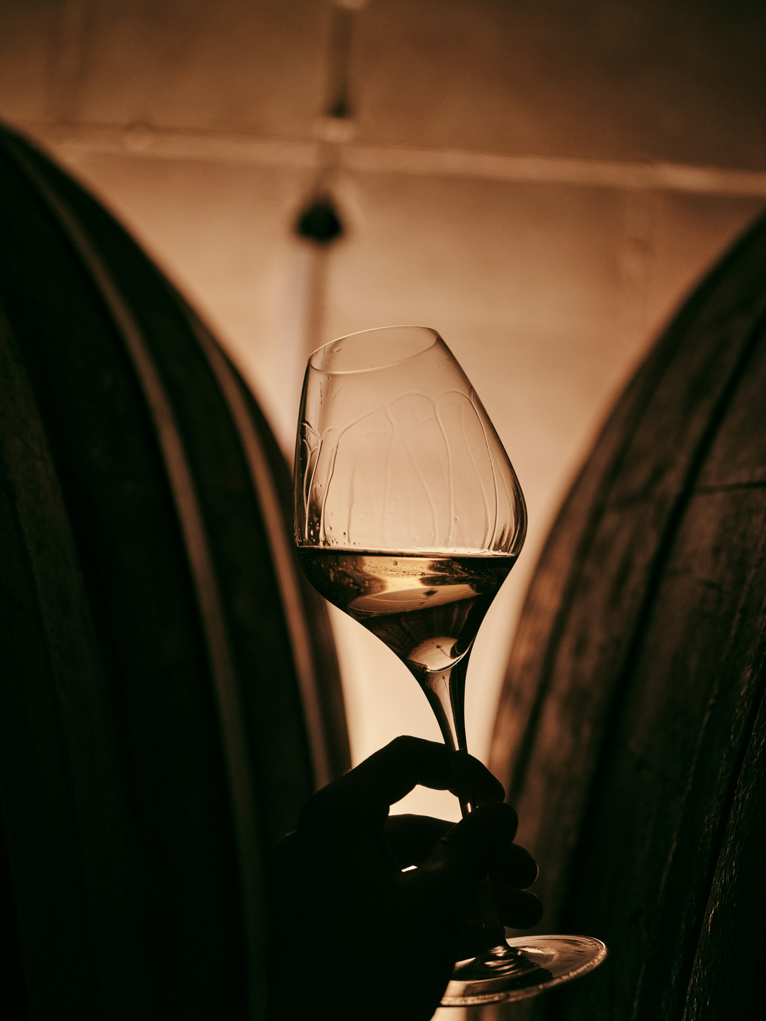 Vinogradi u Ferencima i Vižinadi